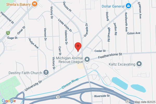 L.A. Insurance