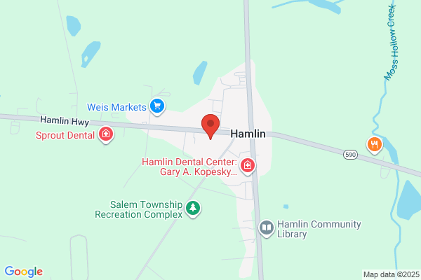 Hamlin Auto Parts