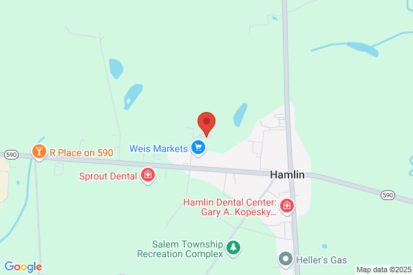 Secure Storage of Hamlin