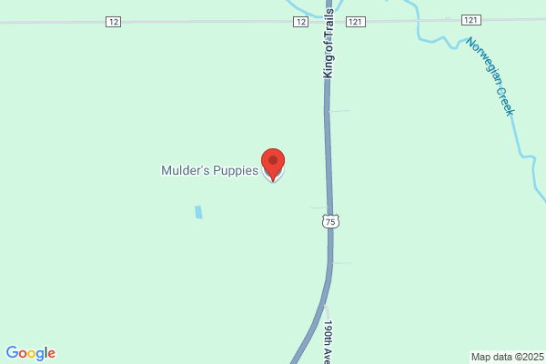 Mulder's Puppies