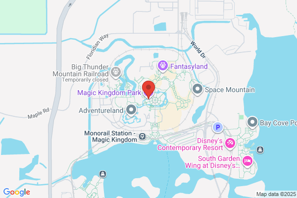 Magic Kingdom Park