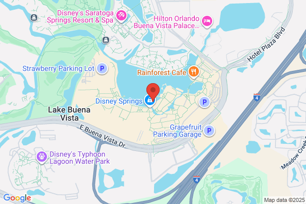 Disney Springs