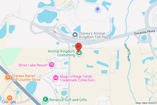 Disney Performing Arts – Costuming & Auditions Workshop Vehicle Arrival - Closed