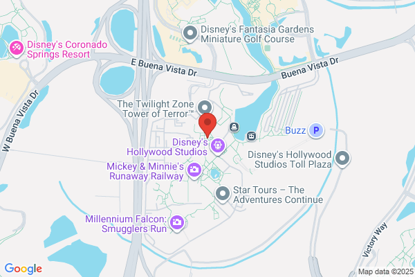 Disney Performing Arts – Disney’s Hollywood Studios In Park Meeting Location - Closed
