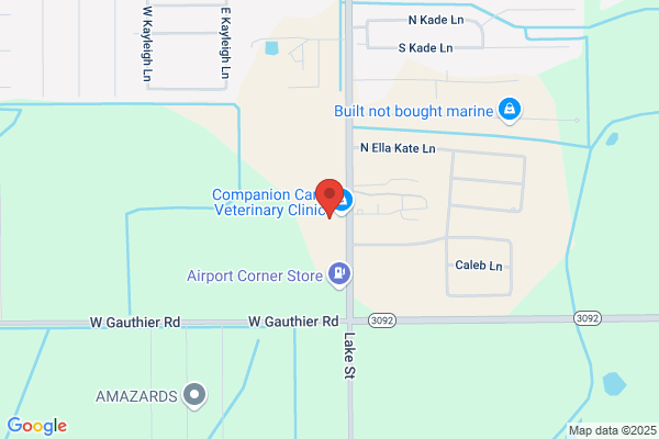 Reina Veterinary Clinic