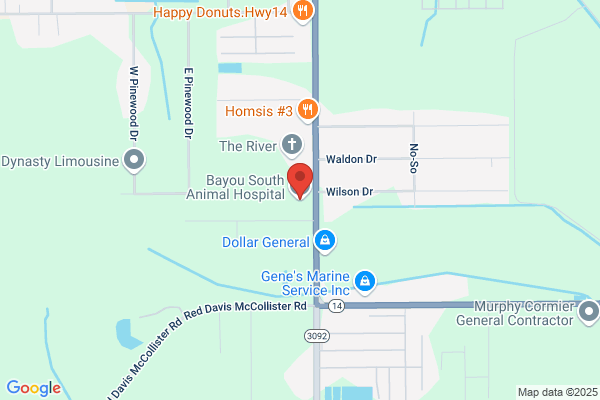 Bayou South Animal Hospital
