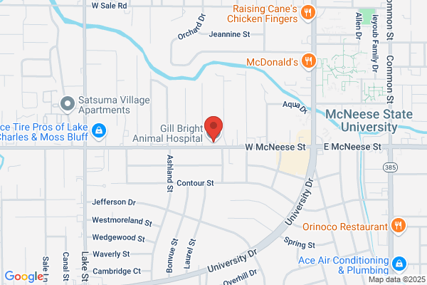 Gill Bright Animal Hospital