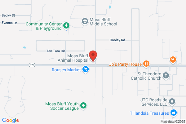 Moss Bluff Animal Hospital