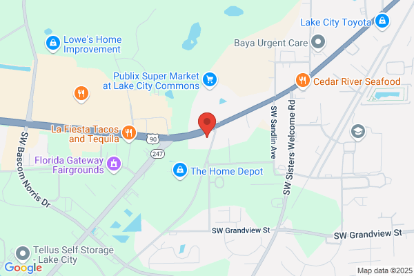 AutoZone Auto Parts