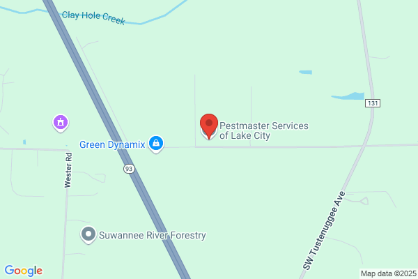 Pestmaster Services of Lake City
