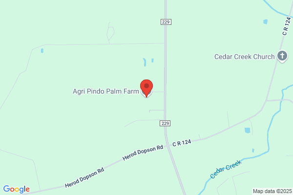 Agri Pindo Palm Farm Nursery Outlet