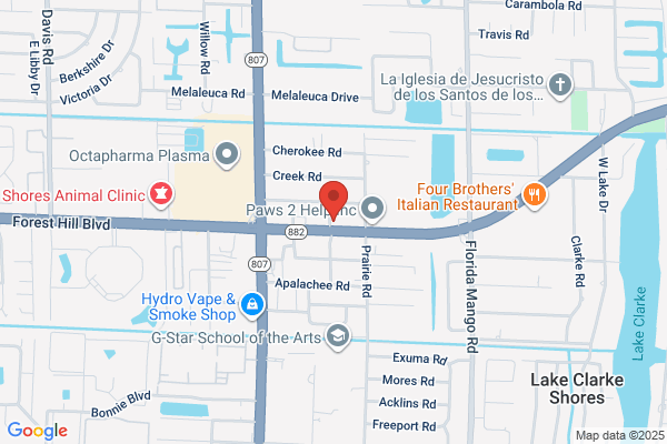 GT Auto Repair, Inc