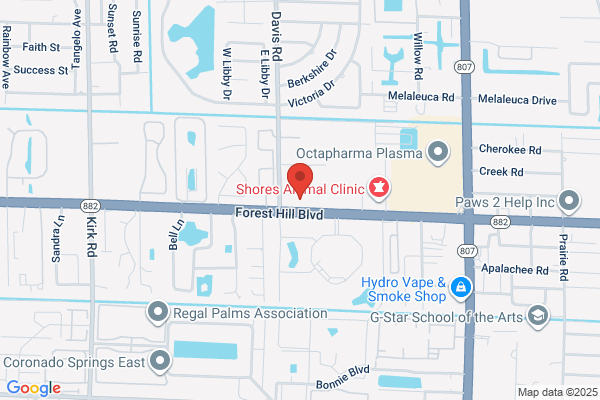 Animal Eye Specialty Clinic - West Palm Beach