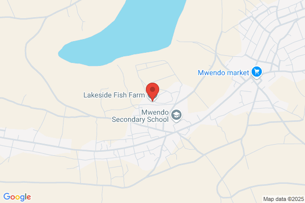 Lakeside Fish Company