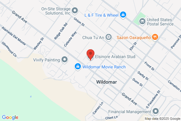 Elsinore Arabian Stud