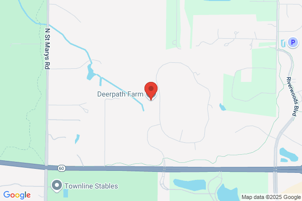 Demari Homes
