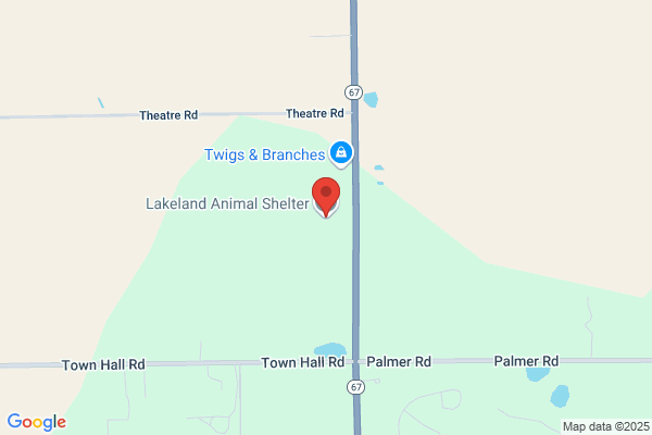 Animal Care Services