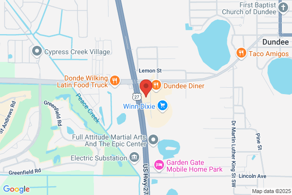 Advance Auto Parts