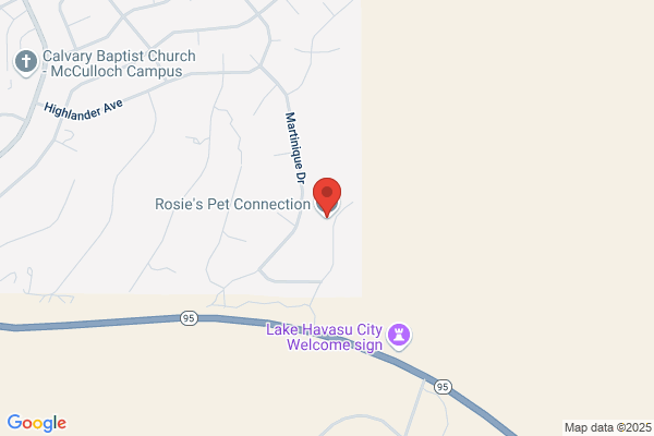 Rosie's Pet Connection