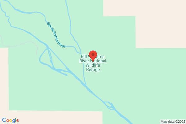 Bill Williams NatL Wildlife Refuge