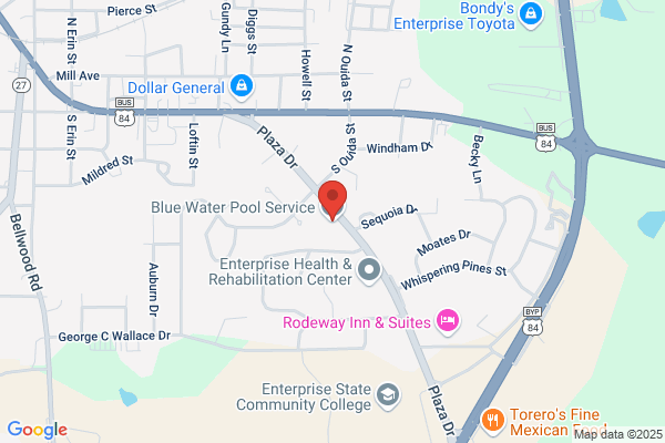 Blue Water Pool Service