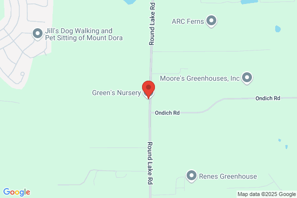 Green Rose Nursery