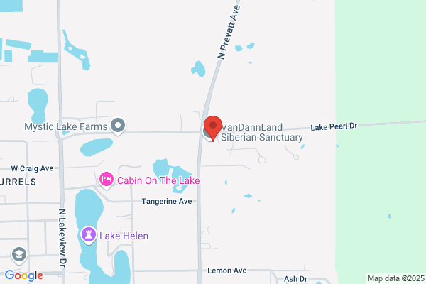 North Fla Fire Protection Inc