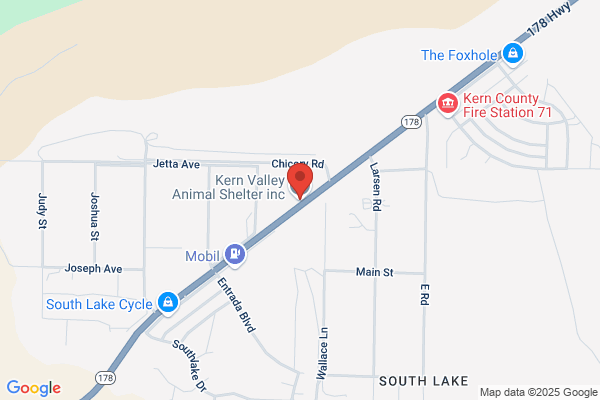 Lake Isabella Animal Shelter