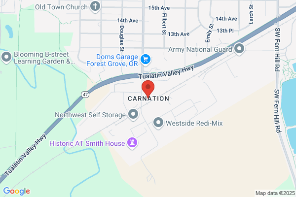 R & R Carnation