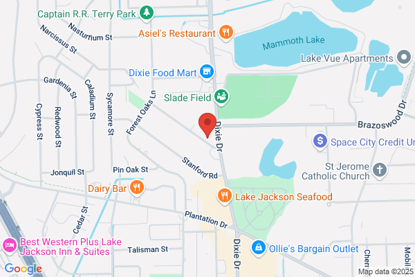 Cynthia A. Manders, DDS