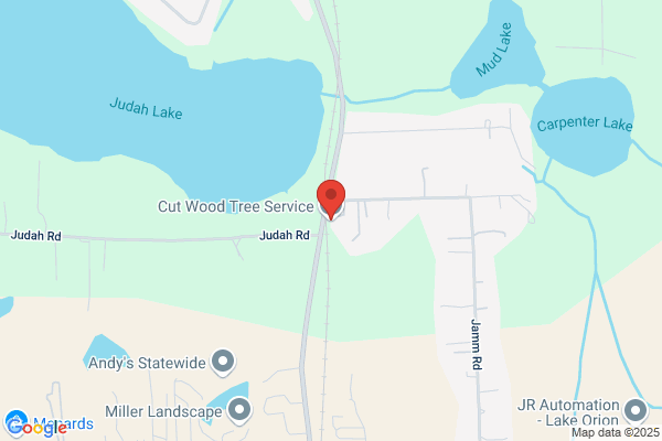 Cut Wood Tree Service