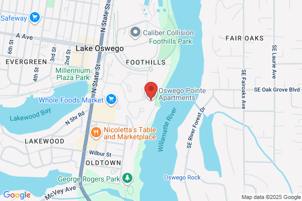 Oswego Pointe Apartment