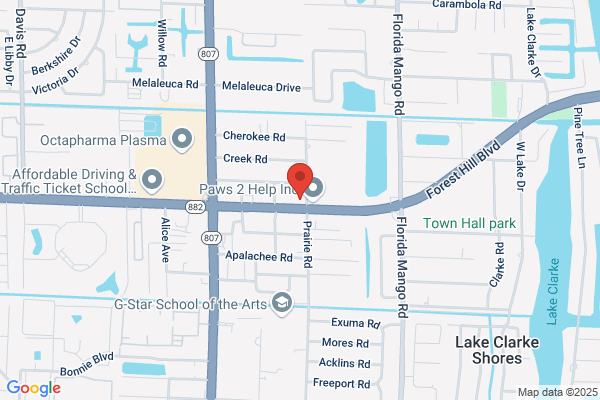 Southern Tire & Auto Inc