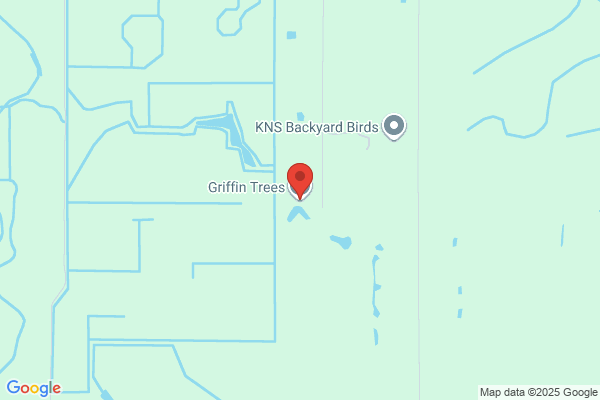 Griffin Trees Inc