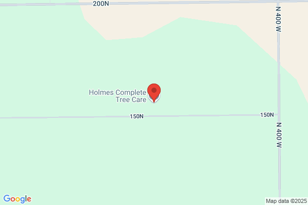 Holmes Tree Service