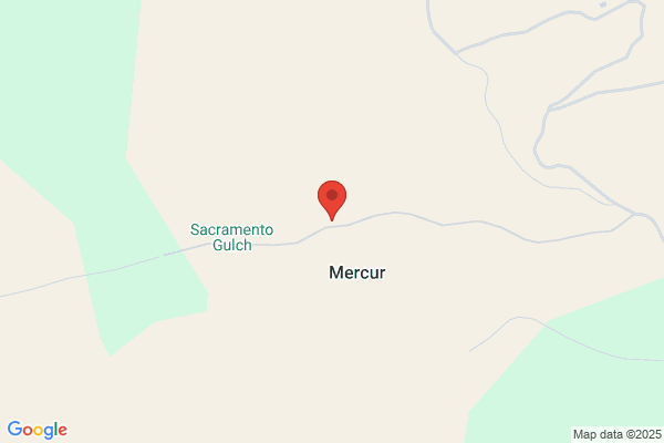 Mercury Metals Inc