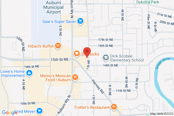 Evergreen Paint Pro