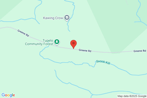 Foothills Tree Service