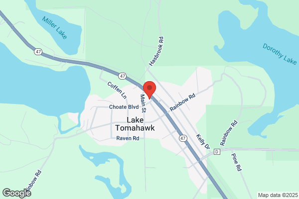 Lake Tomahawk Taxidermy