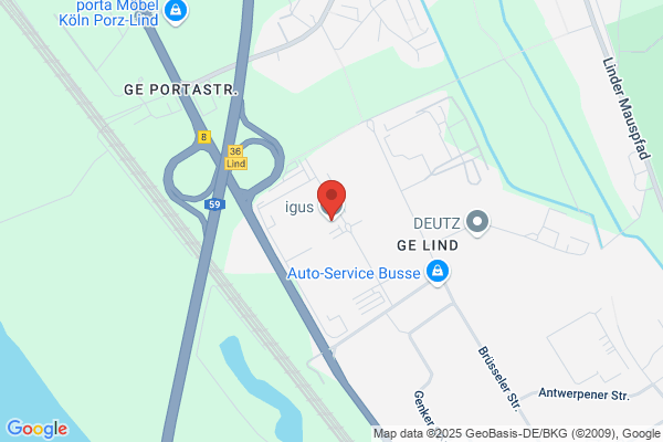 Igus Inc