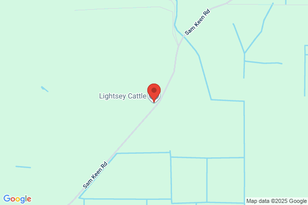 Lightsey Cattle Company