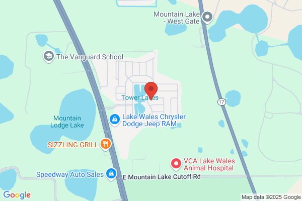 Tower Lakes Homeowners Association Inc