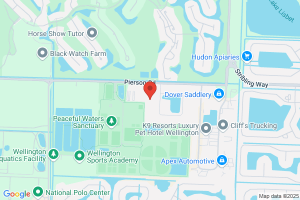 Wellington Auto Collision