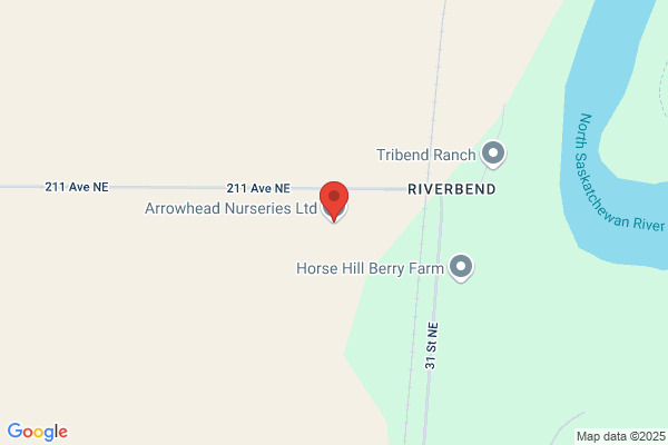 Arrowhead Nursery