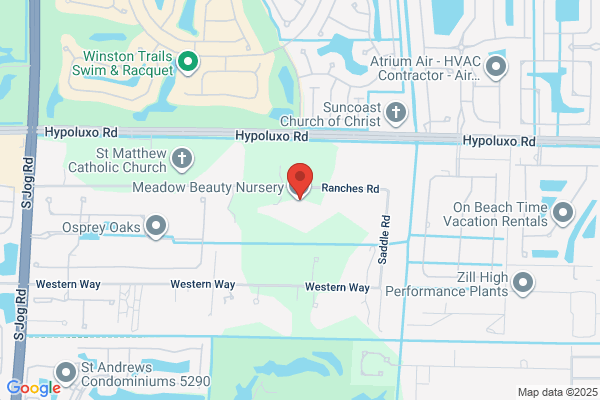 Meadow Beauty Nursery