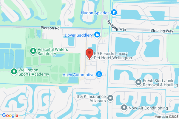 K9 Resorts Luxury Pet Hotel Wellington