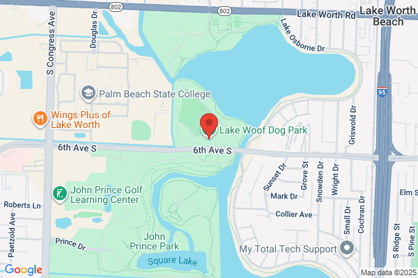 Off Leash K9 South Florida