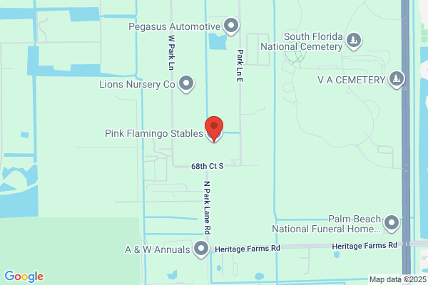 Pink Flamingo Stables