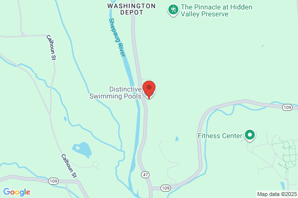 Distinctive Pool Service