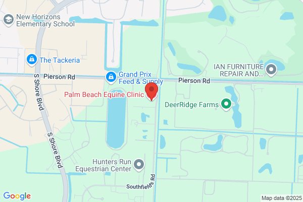 Palm Beach Equine Clinic